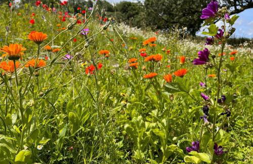 2 Bed in Umberleigh oc-86611 - Foto 22