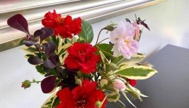 A secluded self contained Country Suite with a view - parking, easy access to Bath - Foto 3