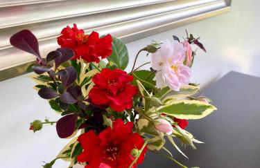 A secluded self contained Country Suite with a view - parking, easy access to Bath - Photo 3