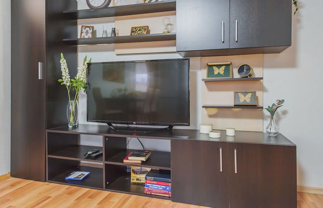 GM Apartment Nikolaeva 1 - Foto 46