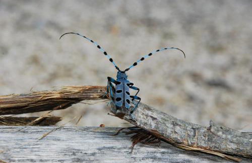 Casa Vacanze La Villa - Foto 31