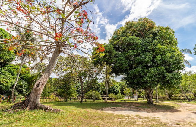 PF12 - Ótima Casa 3 Quartos - Açu da Torre - Foto 33