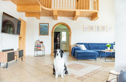 Słoneczna Zatoka - Foto 46