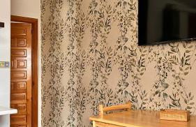 Apartamentos el Olivo - Foto 47