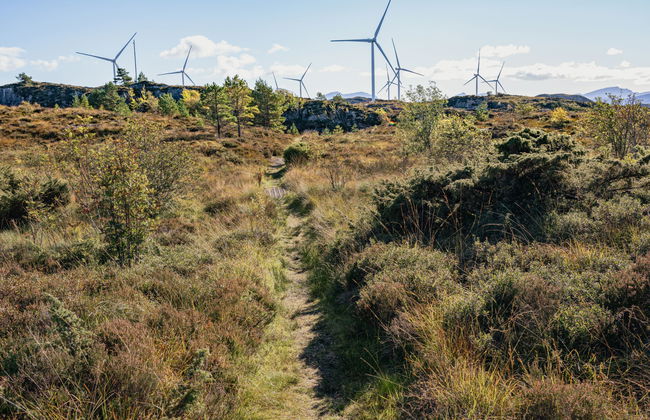 Sjøbuvågen - Foto 44