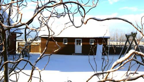 Klaus Jensen , Unter den Linden - Foto 4