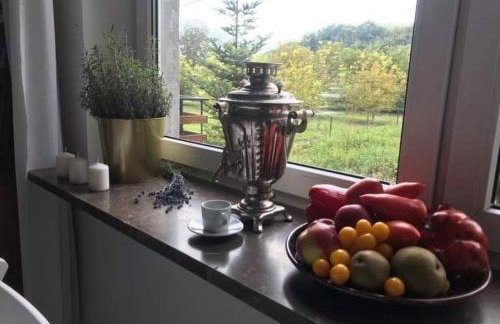 Zielony Domek - Foto 24