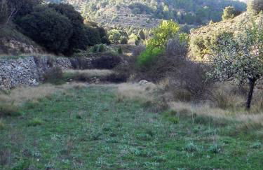 Mas de Muñoz - Foto 14