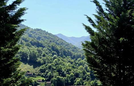 Hotel Rural Valle de Cuaña - Foto 24