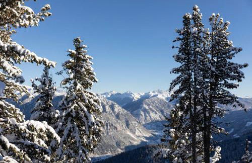 LUXE VISTA Mountain Chalet Cermis - mitten auf der Alm und Skipiste - Foto 45