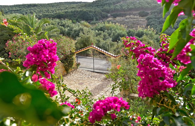 Olive Farm - Foto 39