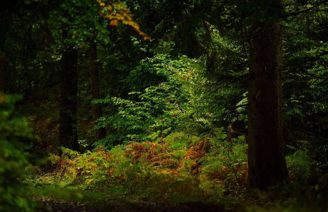 Peaceful Holiday Home - Foto 59