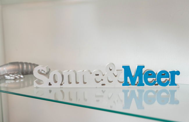 Kegelrobbe - Foto 32