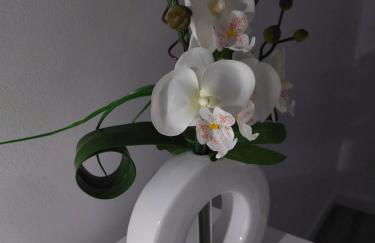 Maison proche Fatima batalha - Foto 26