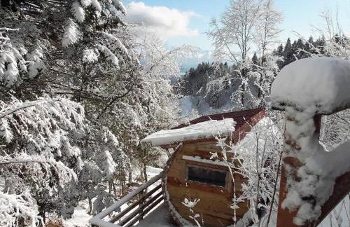 Tonneau Col de la Faucille - Foto 4