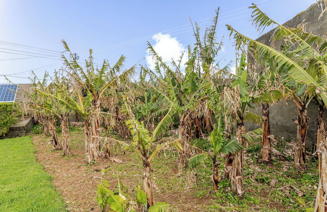 Casas do Vale -T2 - Foto 118
