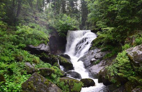 MY HOME Am DISSENHORN - Foto 17