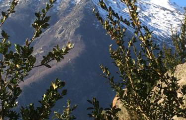 Les Bordes De Paloumières - Foto 47