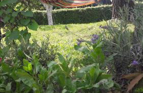 Kod Basaričeka - Photo 9