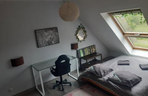 Villa la Salamandre - Jullouville - Foto 11