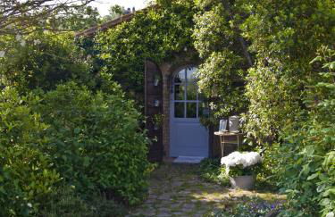 Il Vecchio Milipano - Foto 17