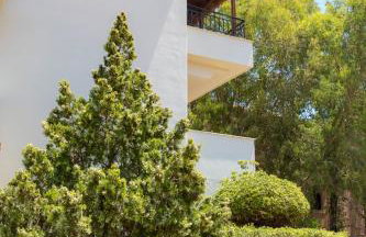 Fereniki Studios - Foto 28