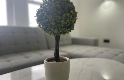 Luxury Duplex City Centre Apartment - Foto 10