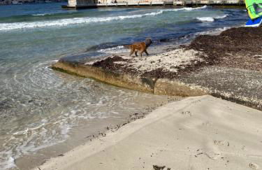 Villa Savoia Mondello - Photo 32