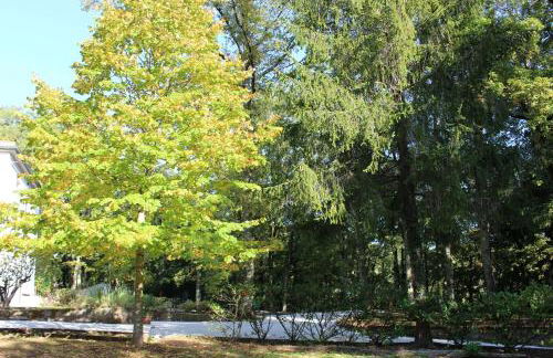 Villa La Casa Bianca - Foto 14