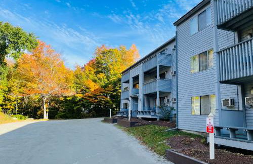 Ski in, Ski out Studio Smugglers' Notch Resort - Foto 13