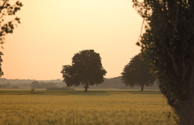 Spacious Apartment in Boddin With Garden - Foto 75