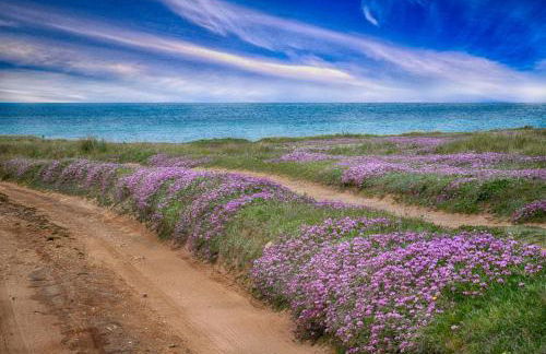 Agriturismo Salinola - Foto 146