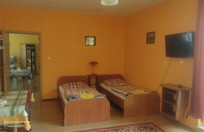 Agroletnica Country house - Foto 22