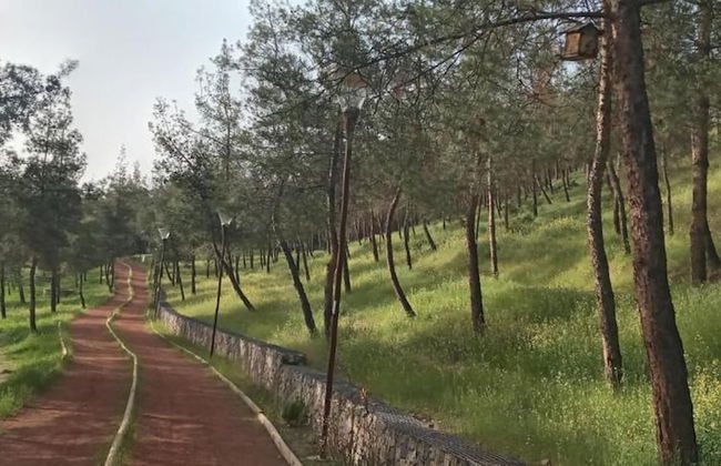 Gunes Thermal Hotel - Foto 38