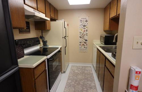 Entire 1 BR Condo- Near Anschutz, UC Health, DIA- In-Unit Washer Dryer- Seasonal Discounts! - Foto 7