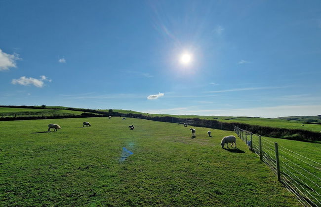 Stunning 1-bed Shepherd hut - Foto 23