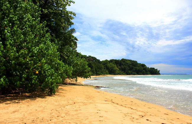 Casa Cerise - Foto 64