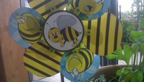 il sentiero del riccio - Foto 5