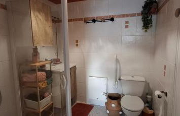 Gite La maison du 37 avec terrasse et jardinet - Foto 21