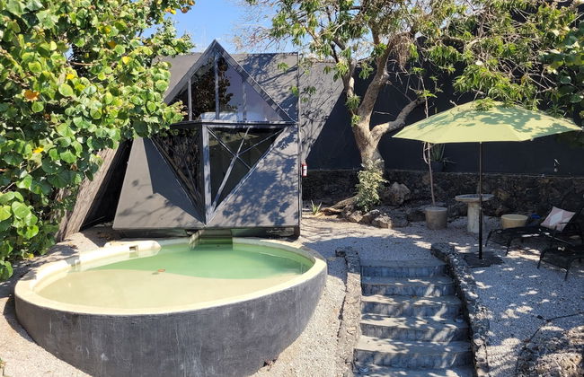 Bosque Geométrico - Foto 28