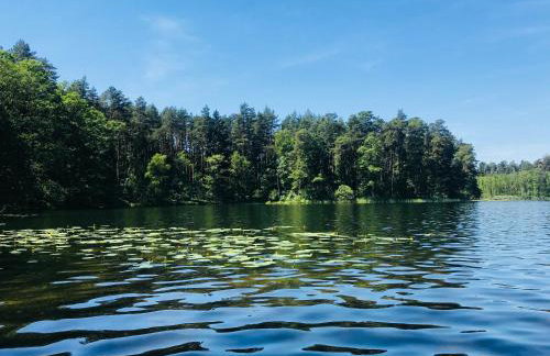 Dobrostan Domek w Naturze - Foto 47