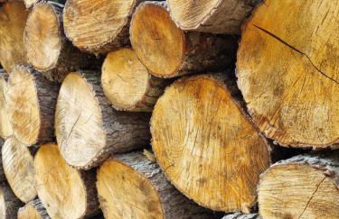 Ferienhaus Rehblick - direkt in der Natur, mit Lesezimmer und zwei Terrassen - Foto 34