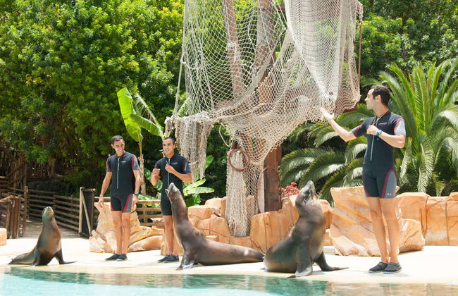 Jungle Park - Foto 6