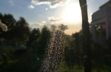 Apartman Branko - Photo 5