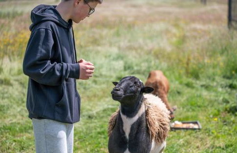 Porzeczkowe domki - Foto 35
