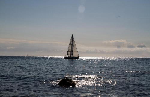 L' Elicriso - Photo 11