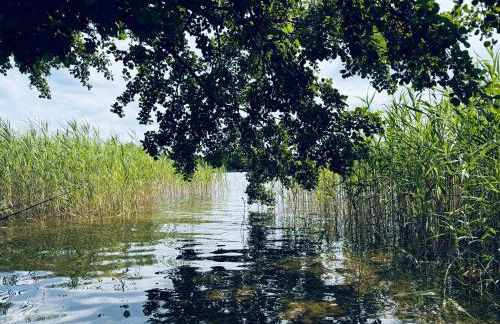 K357 - Ferienwohnung - Moin Moin - Pönitz - Scharbeutz - Foto 18