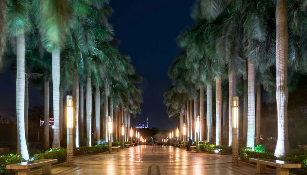 Preciosas palmeras del parque Al-Azhar