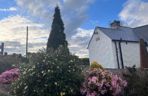 Dans Wee Cottage Slieve Croob Dromara Castlewellan Newcastle - Foto 56