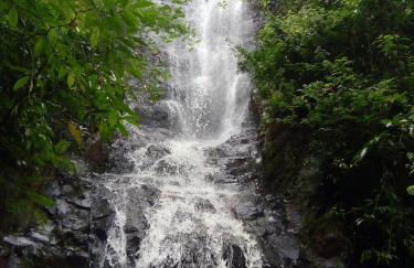 Container Beija-Flor com SPA e Cachoeira - Foto 27
